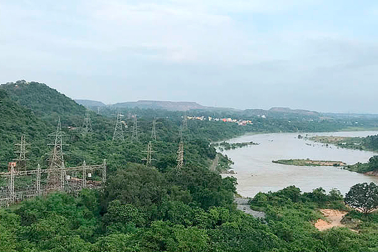 Maithan Dam Dhanbad Ecosystem